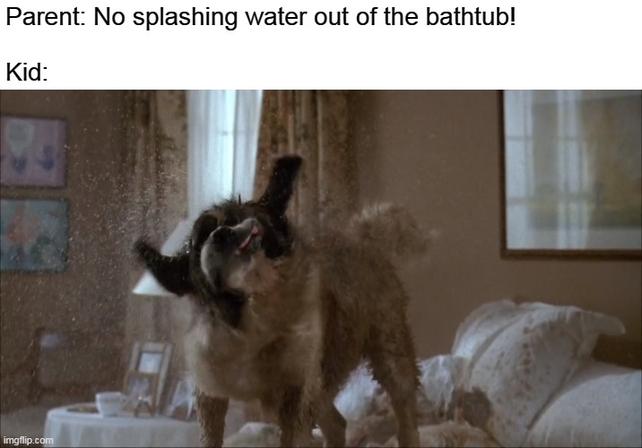 Beethoven Mud Shake | Parent: No splashing water out of the bathtub!

 
Kid: | image tagged in beethoven mud shake,meme | made w/ Imgflip meme maker