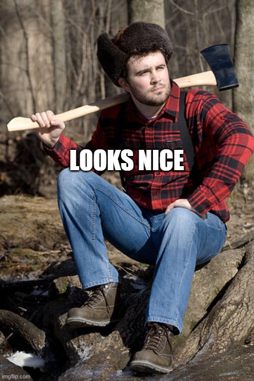 Solemn Lumberjack Meme | LOOKS NICE | image tagged in memes,solemn lumberjack | made w/ Imgflip meme maker