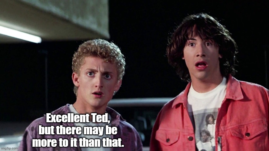 Bill and ted | Excellent Ted, but there may be more to it than that. | image tagged in bill and ted | made w/ Imgflip meme maker