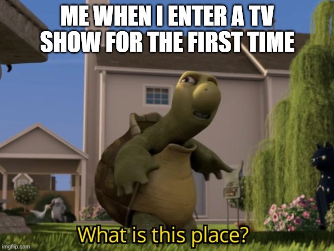 i am lost | ME WHEN I ENTER A TV SHOW FOR THE FIRST TIME | image tagged in what is this place | made w/ Imgflip meme maker