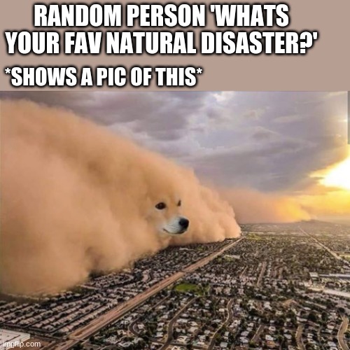 Dust Doge Storm |  RANDOM PERSON 'WHATS YOUR FAV NATURAL DISASTER?'; *SHOWS A PIC OF THIS* | image tagged in dust doge storm | made w/ Imgflip meme maker