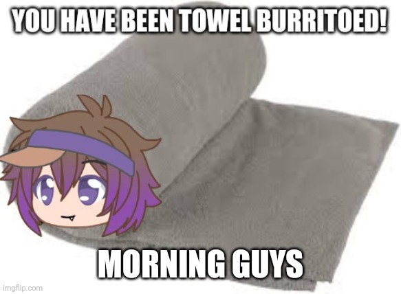 MORNING GUYS | image tagged in towel burrito | made w/ Imgflip meme maker