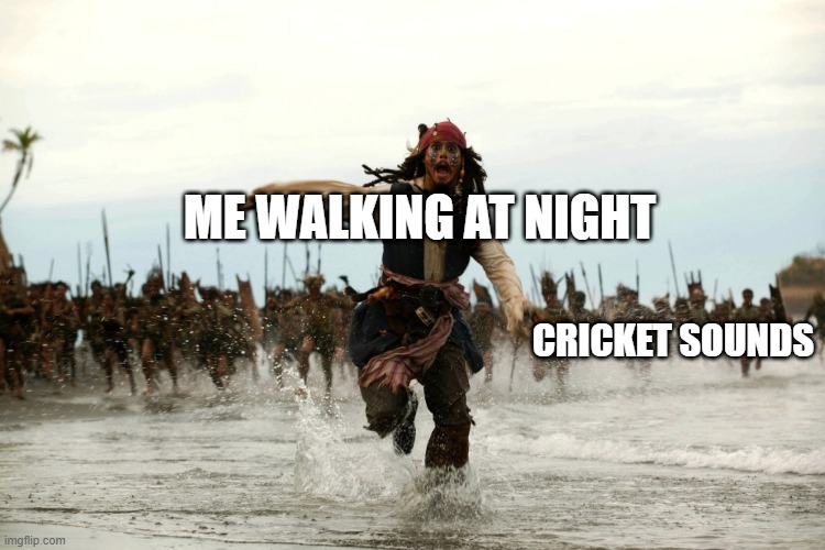 all can relate | ME WALKING AT NIGHT; CRICKET SOUNDS | image tagged in captain jack sparrow running | made w/ Imgflip meme maker