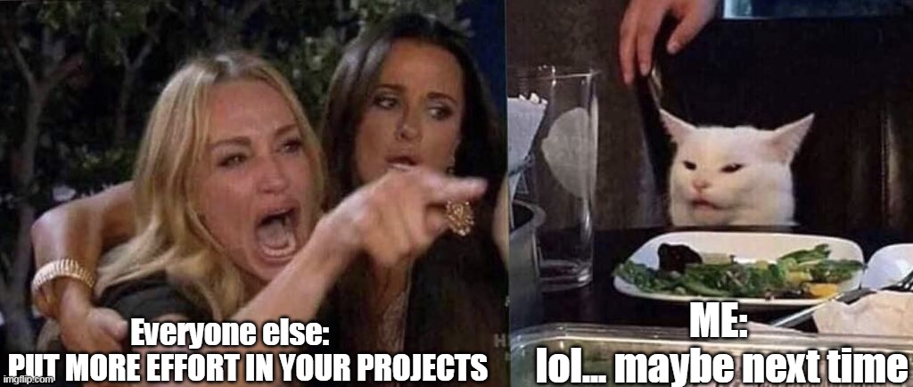 AlWaYs Do MoRe | Everyone else:      
PUT MORE EFFORT IN YOUR PROJECTS; ME: 
lol... maybe next time | image tagged in woman yelling at cat | made w/ Imgflip meme maker