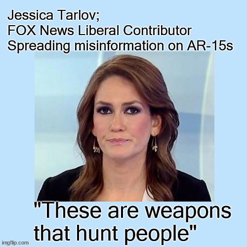 Jessica Tarlov on AR15s | image tagged in politics,gun control | made w/ Imgflip meme maker