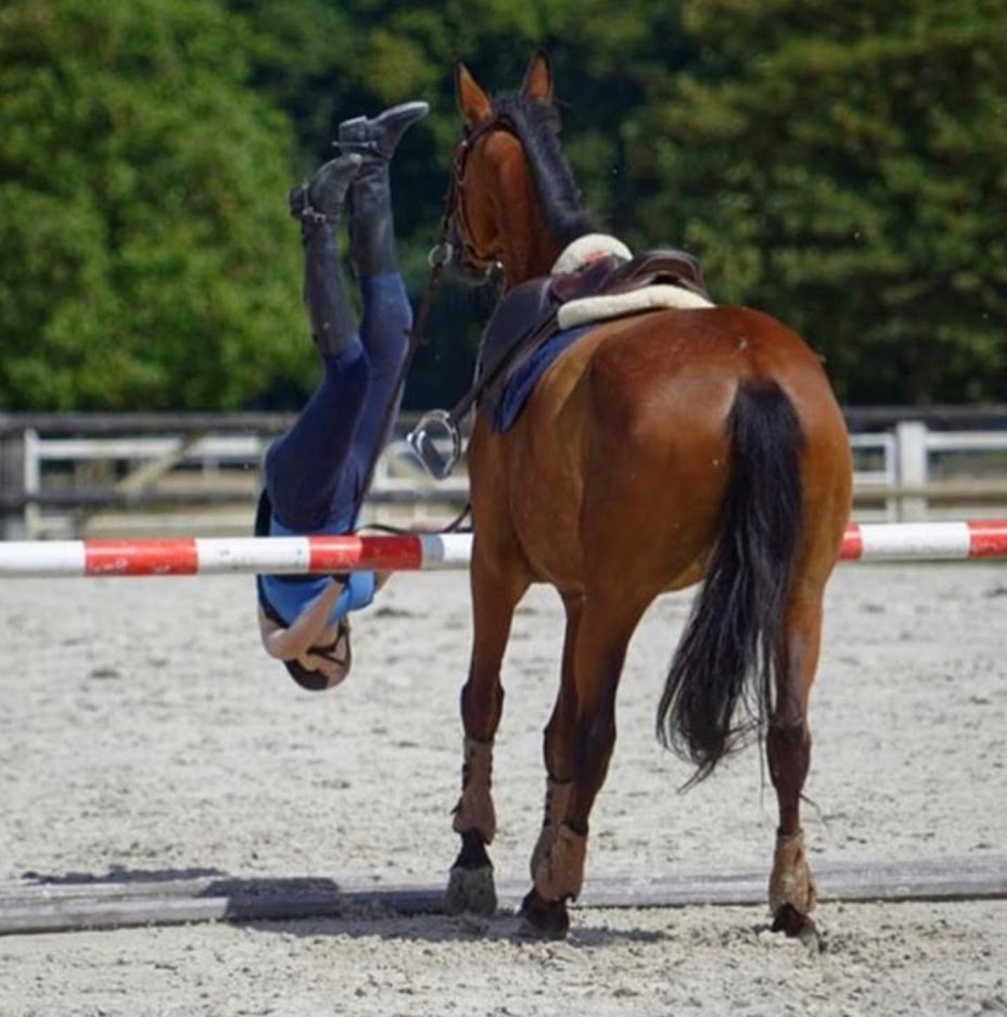 girl falling form horse Blank Meme Template