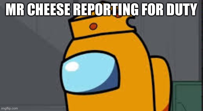 my name mr cheese | MR CHEESE REPORTING FOR DUTY | image tagged in my name mr cheese | made w/ Imgflip meme maker