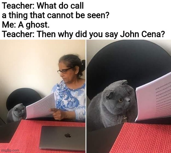Woman showing paper to cat | Teacher: What do call a thing that cannot be seen?
Me: A ghost.
Teacher: Then why did you say John Cena? | image tagged in woman showing paper to cat,john cena,memes,ghost,you can't see me,Memes_Of_The_Dank | made w/ Imgflip meme maker