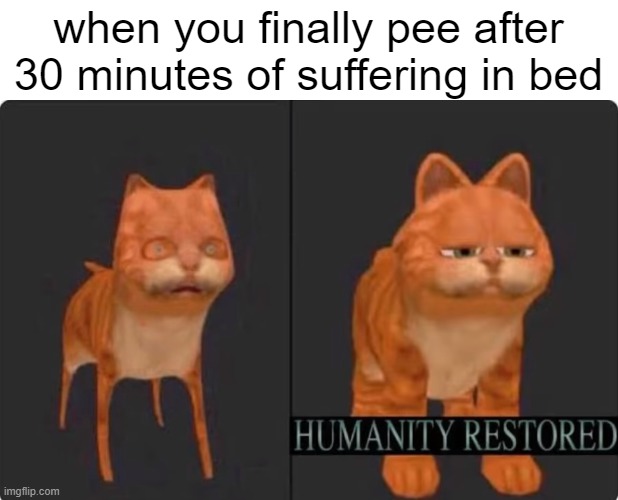 pls tell me you can relate |  when you finally pee after 30 minutes of suffering in bed | image tagged in humanity restored,memes | made w/ Imgflip meme maker