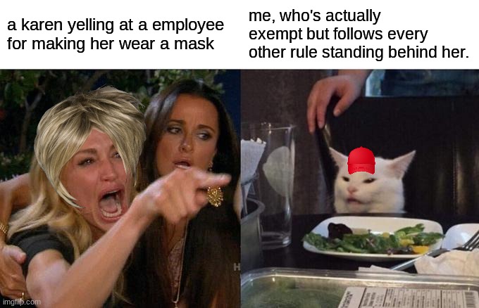 AAAAAAAAAAAAA | a karen yelling at a employee for making her wear a mask; me, who's actually exempt but follows every other rule standing behind her. | image tagged in memes,woman yelling at cat,autism | made w/ Imgflip meme maker