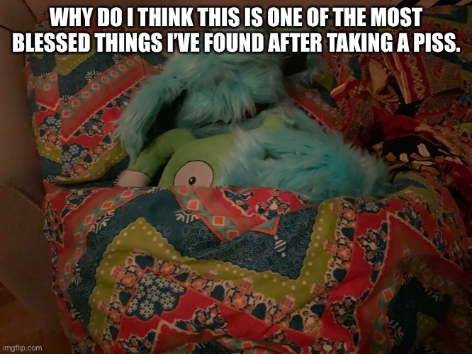 WHY DO I THINK THIS IS ONE OF THE MOST BLESSED THINGS I’VE FOUND AFTER TAKING A PISS. | made w/ Imgflip meme maker