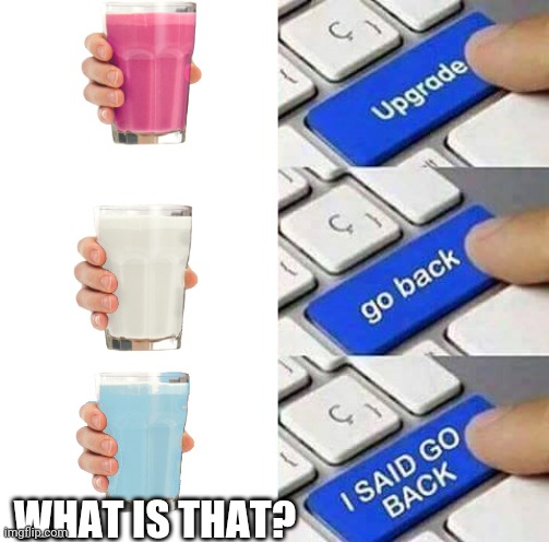 I SAID GO BACK |  WHAT IS THAT? | image tagged in i said go back | made w/ Imgflip meme maker