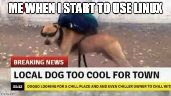 btw i use linux for real sometimes | ME WHEN I START TO USE LINUX | image tagged in local dog too cool | made w/ Imgflip meme maker