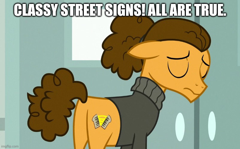 CLASSY STREET SIGNS! ALL ARE TRUE. | image tagged in my little pony friendship is magic | made w/ Imgflip meme maker