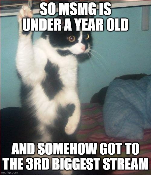 How did MSMG rise is the question? | SO MSMG IS UNDER A YEAR OLD; AND SOMEHOW GOT TO THE 3RD BIGGEST STREAM | image tagged in question cat,msmg | made w/ Imgflip meme maker