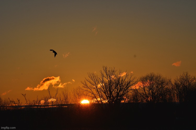 good morning! | made w/ Imgflip meme maker