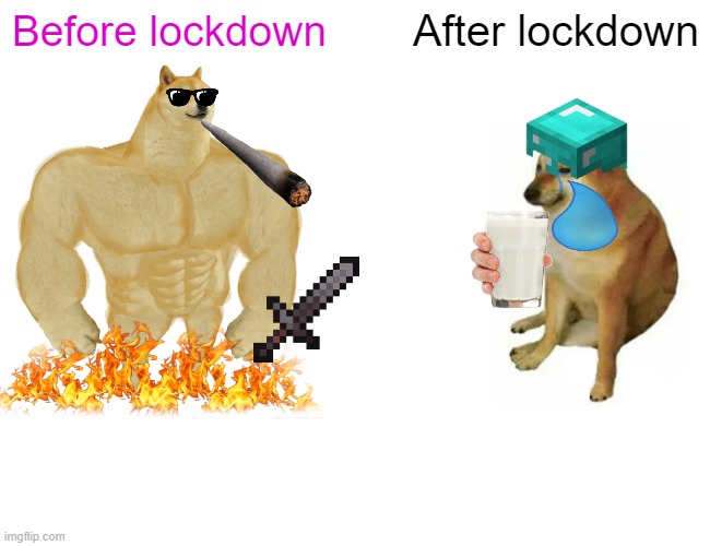 Buff Doge vs. Cheems Meme | Before lockdown; After lockdown | image tagged in memes,buff doge vs cheems | made w/ Imgflip meme maker