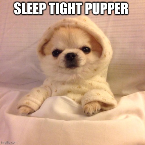 Sleep Tight Pupper | SLEEP TIGHT PUPPER | image tagged in sleep tight pupper | made w/ Imgflip meme maker