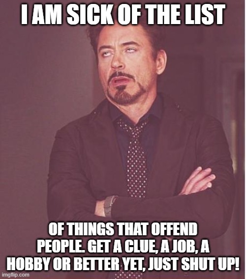 Offended | I AM SICK OF THE LIST; OF THINGS THAT OFFEND PEOPLE. GET A CLUE, A JOB, A HOBBY OR BETTER YET, JUST SHUT UP! | image tagged in memes,face you make robert downey jr,offended,cancel culture,get over yourself | made w/ Imgflip meme maker