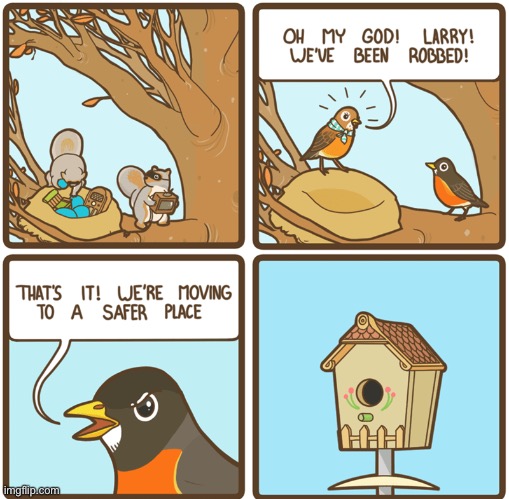 Birdhouse is safer | image tagged in funny,comics/cartoons,birds,robbery | made w/ Imgflip meme maker