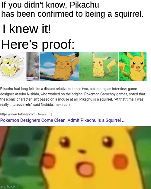 We've been lied to all along. | If you didn't know, Pikachu has been confirmed to being a squirrel. I knew it! Here's proof: | image tagged in memes,surprised pikachu | made w/ Imgflip meme maker