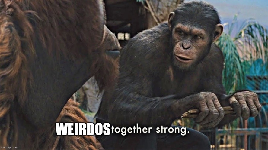 Ape together strong | WEIRDOS | image tagged in ape together strong | made w/ Imgflip meme maker