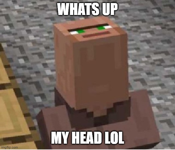 Minecraft Villager Looking Up | WHATS UP MY HEAD LOL | image tagged in minecraft villager looking up | made w/ Imgflip meme maker