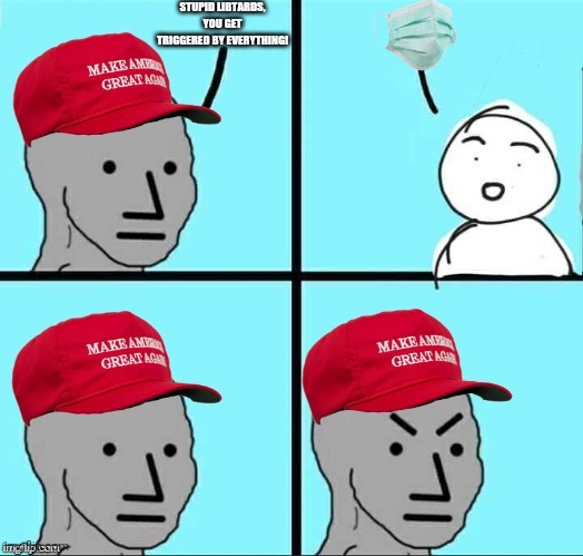 MAGA NPC (AN AN0NYM0US TEMPLATE) | STUPID LIBTARDS, YOU GET TRIGGERED BY EVERYTHING! | image tagged in maga npc an an0nym0us template | made w/ Imgflip meme maker