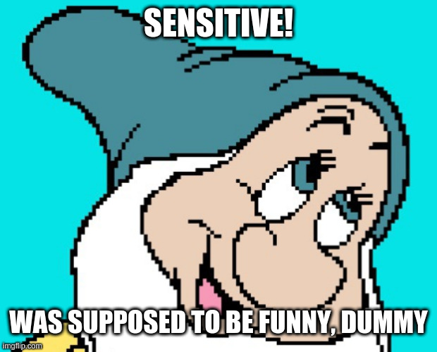 i apologize, i meant to say dum dum and it could also apply to me | SENSITIVE! WAS SUPPOSED TO BE FUNNY, DUMMY | image tagged in oh go way,comments | made w/ Imgflip meme maker