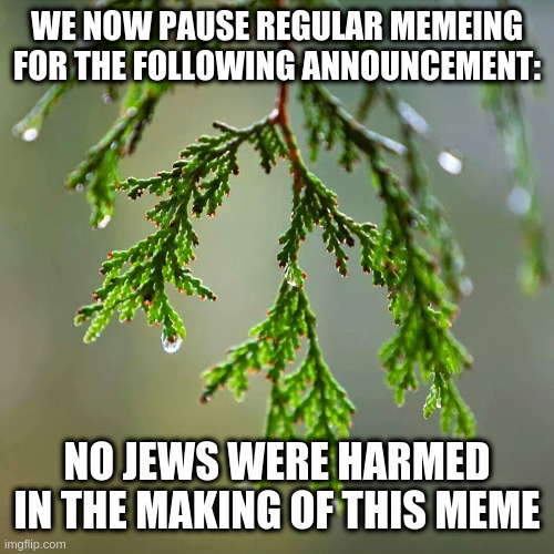 this one i am 100% sure of | WE NOW PAUSE REGULAR MEMEING FOR THE FOLLOWING ANNOUNCEMENT:; NO JEWS WERE HARMED IN THE MAKING OF THIS MEME | image tagged in cedar,humour,friends,intent | made w/ Imgflip meme maker