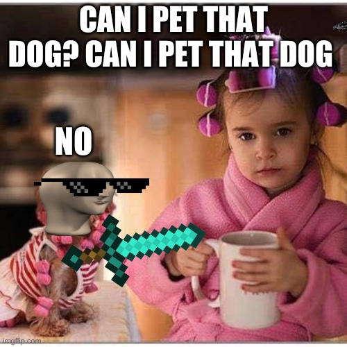 little girl and dog | CAN I PET THAT DOG? CAN I PET THAT DOG; NO | image tagged in little girl and dog | made w/ Imgflip meme maker