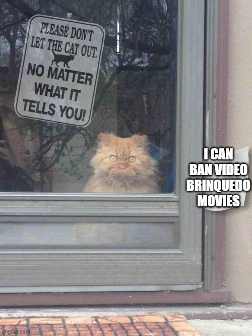 Cat No Matter | I CAN BAN VIDEO BRINQUEDO MOVIES | image tagged in cat no matter | made w/ Imgflip meme maker