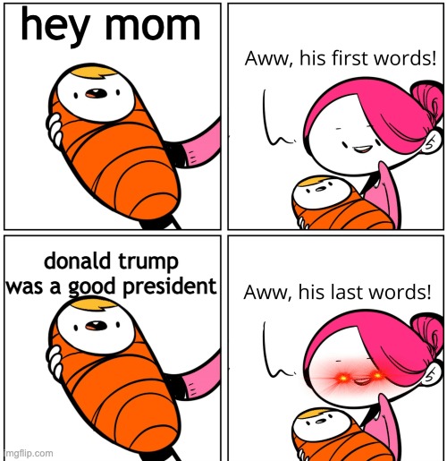 Aww, His Last Words | hey mom; donald trump was a good president | image tagged in aww his last words,trump sucks,donald trump is an idiot | made w/ Imgflip meme maker
