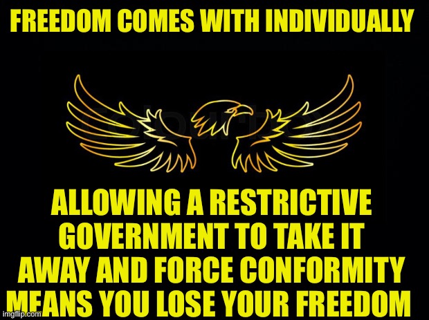  FREEDOM COMES WITH INDIVIDUALLY; ALLOWING A RESTRICTIVE GOVERNMENT TO TAKE IT AWAY AND FORCE CONFORMITY MEANS YOU LOSE YOUR FREEDOM | made w/ Imgflip meme maker