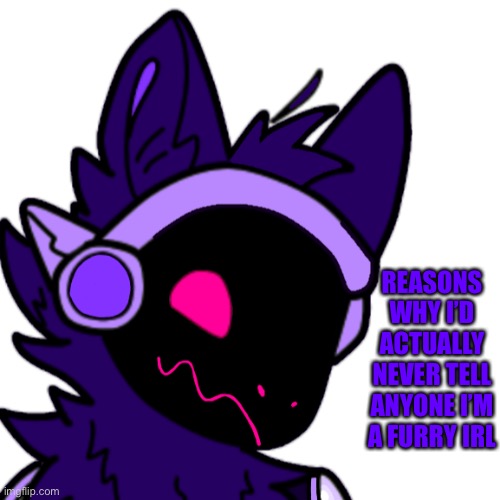 Just reasons lmao | REASONS WHY I’D ACTUALLY NEVER TELL ANYONE I’M A FURRY IRL | made w/ Imgflip meme maker