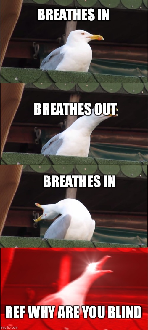 Inhaling Seagull | BREATHES IN; BREATHES OUT; BREATHES IN; REF WHY ARE YOU BLIND | image tagged in memes,inhaling seagull | made w/ Imgflip meme maker