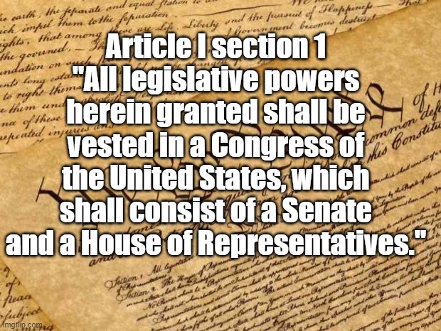 Constitution | Article I section 1
"All legislative powers herein granted shall be vested in a Congress of the United States, which shall consist of a Sena | image tagged in constitution | made w/ Imgflip meme maker