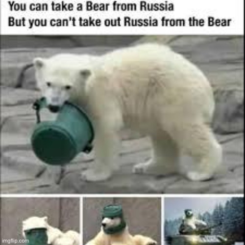 russia bear | image tagged in russia bear | made w/ Imgflip meme maker