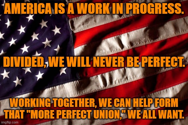 Clones Don't Make The Best Teammates. | AMERICA IS A WORK IN PROGRESS. DIVIDED, WE WILL NEVER BE PERFECT. WORKING TOGETHER, WE CAN HELP FORM THAT "MORE PERFECT UNION," WE ALL WANT. | image tagged in politics | made w/ Imgflip meme maker
