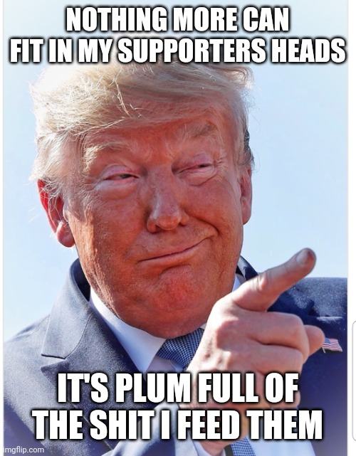 Trump pointing | NOTHING MORE CAN FIT IN MY SUPPORTERS HEADS IT'S PLUM FULL OF THE SHIT I FEED THEM | image tagged in trump pointing | made w/ Imgflip meme maker