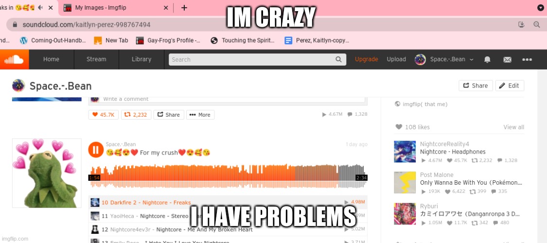 dear god kill me | IM CRAZY; I HAVE PROBLEMS | image tagged in crazy | made w/ Imgflip meme maker