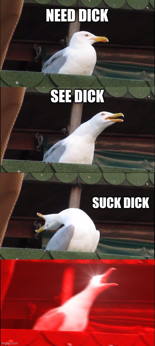 Inhaling Seagull Meme | NEED DICK; SEE DICK; SUCK DICK | image tagged in memes,inhaling seagull | made w/ Imgflip meme maker