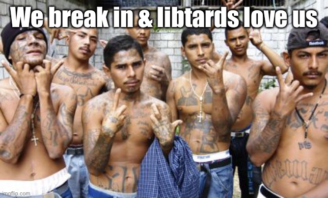 Ms13 | We break in & libtards love us | image tagged in ms13 | made w/ Imgflip meme maker