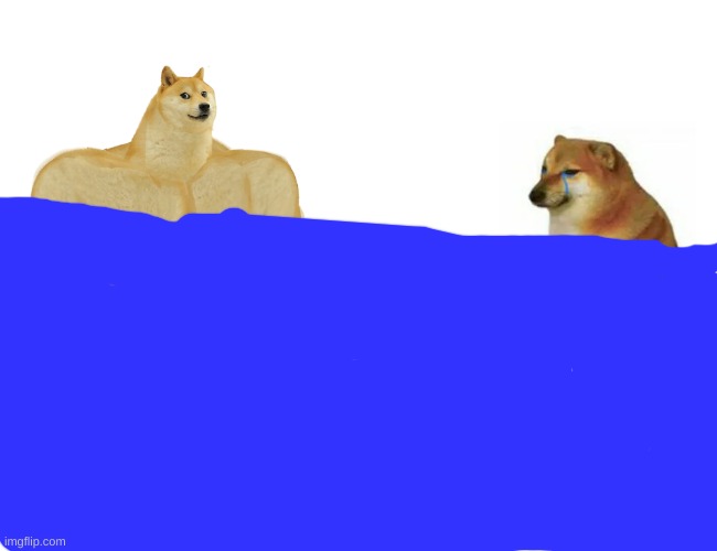 Comment to save Cheems up vote to save Buff Doge | image tagged in memes,buff doge vs cheems | made w/ Imgflip meme maker