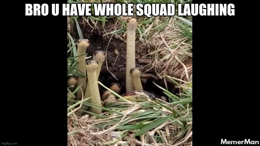 bro | BRO U HAVE WHOLE SQUAD LAUGHING | image tagged in memes | made w/ Imgflip meme maker