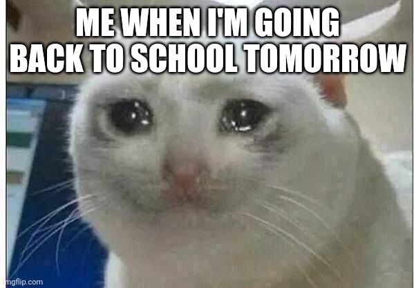 Got school tomorrow | ME WHEN I'M GOING BACK TO SCHOOL TOMORROW | image tagged in crying cat,school,tomorrow | made w/ Imgflip meme maker