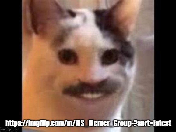 https://imgflip.com/m/MS_Memer_Group-?sort=latest | https://imgflip.com/m/MS_Memer_Group-?sort=latest | image tagged in hitler cat | made w/ Imgflip meme maker