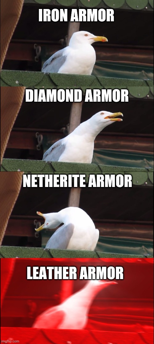 Seagull | IRON ARMOR; DIAMOND ARMOR; NETHERITE ARMOR; LEATHER ARMOR | image tagged in memes,inhaling seagull | made w/ Imgflip meme maker