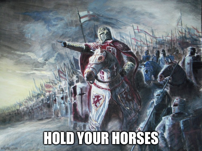 Crusader | HOLD YOUR HORSES | image tagged in crusader | made w/ Imgflip meme maker