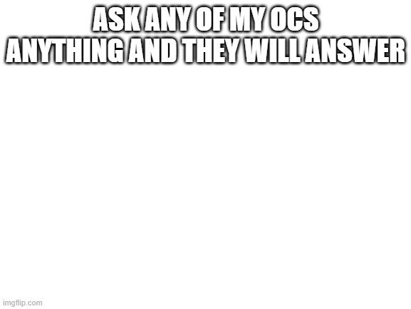 (mod edit: I mean... this isn't really RP but I'll allow it) | ASK ANY OF MY OCS ANYTHING AND THEY WILL ANSWER | image tagged in blank white template | made w/ Imgflip meme maker